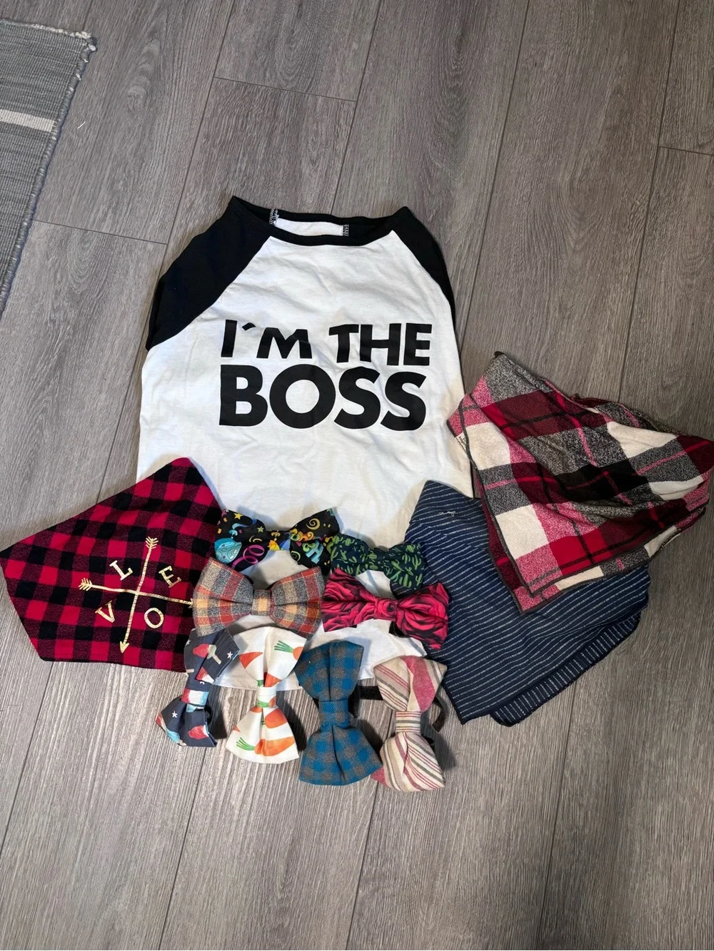 Dog Accessories